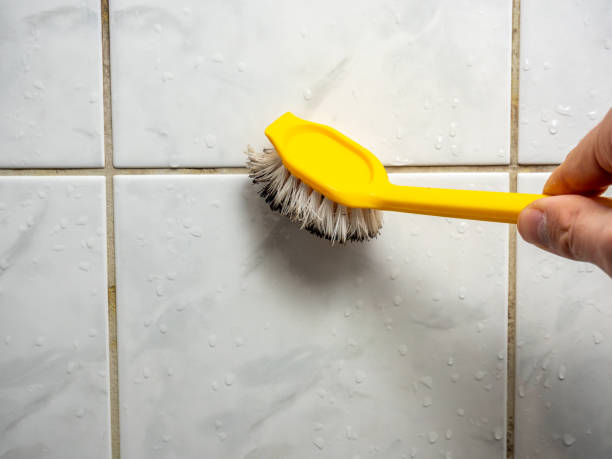 Best Mold Removal Company Near Me  in Spencer, WV