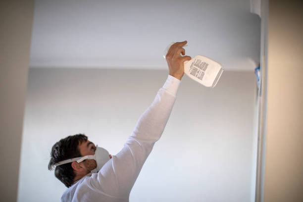 Best Certified Mold Removal  in Spencer, WV