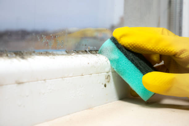 Water Damage Restoration in Spencer, WV